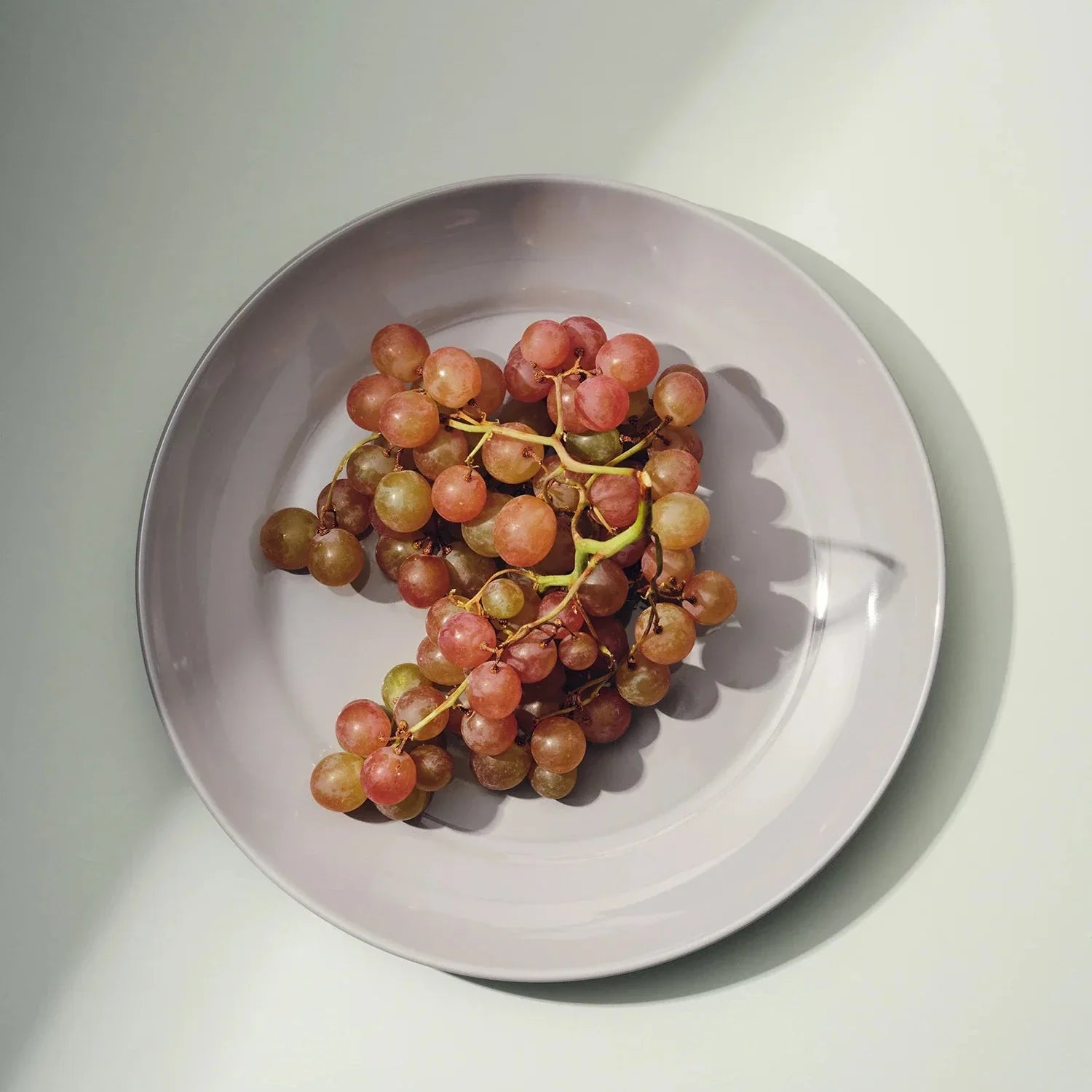 S/4 Large Plate MODERNN STUDIO