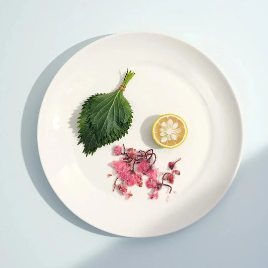 S/4 Large Plate MODERNN STUDIO