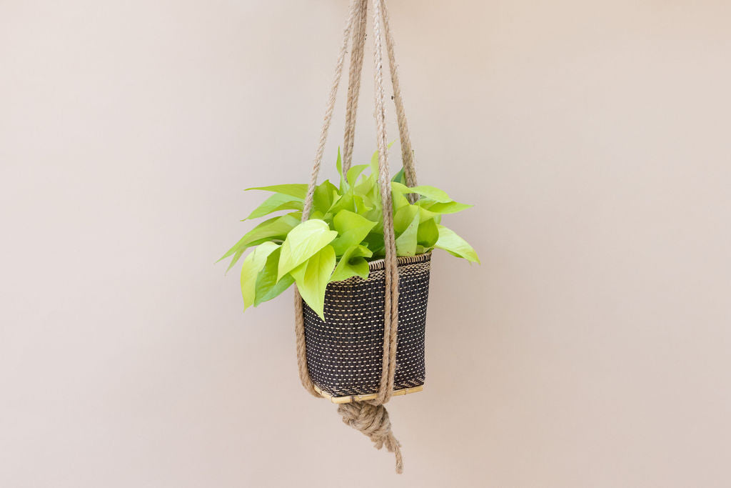 Neon Pothos Hanging Planter Basket MODERNN STUDIO