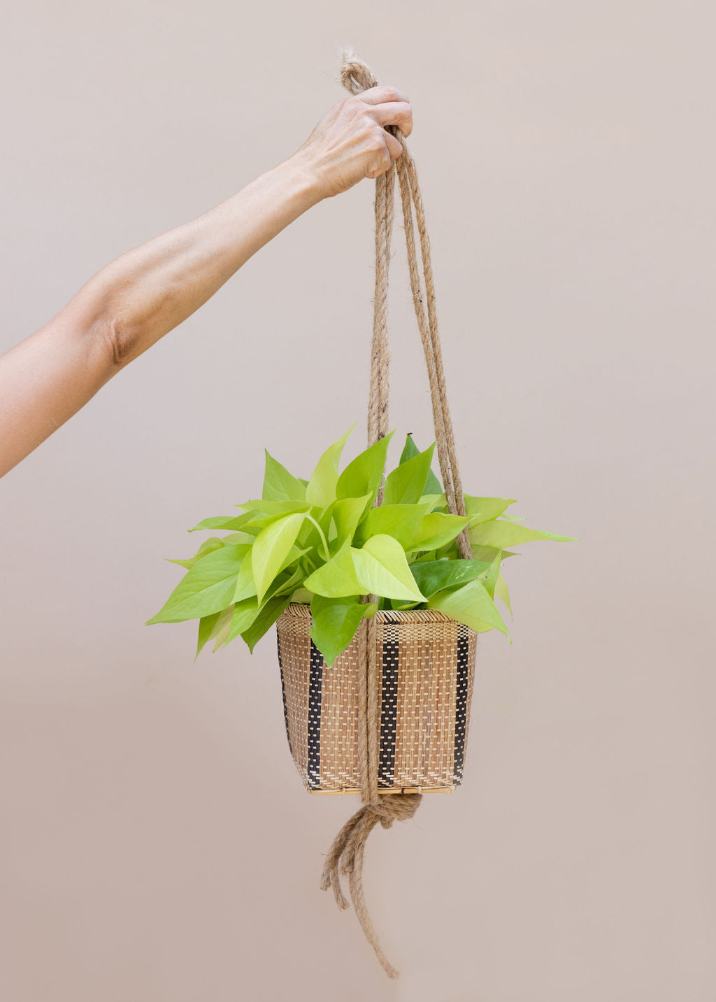 Neon Pothos Hanging Planter Basket MODERNN STUDIO