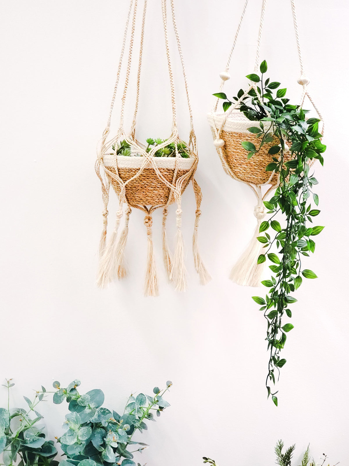 Plant Hanger - Nadu MODERNN STUDIO